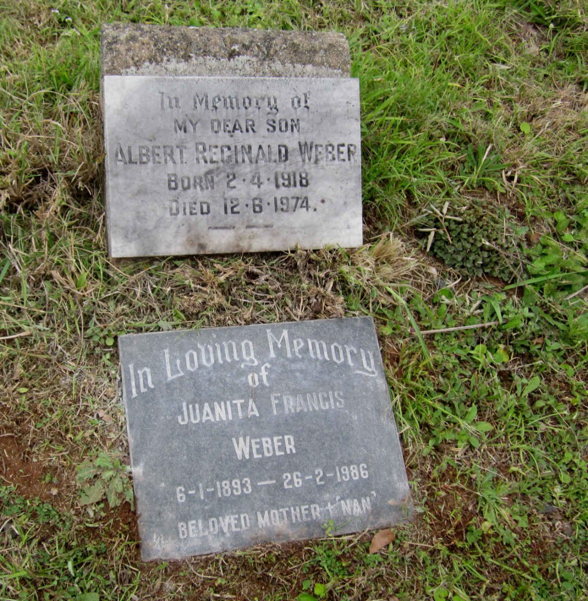 WEBER Juanita Francis 1893-1986 :: WEBER Albert Reginald 1918-1974