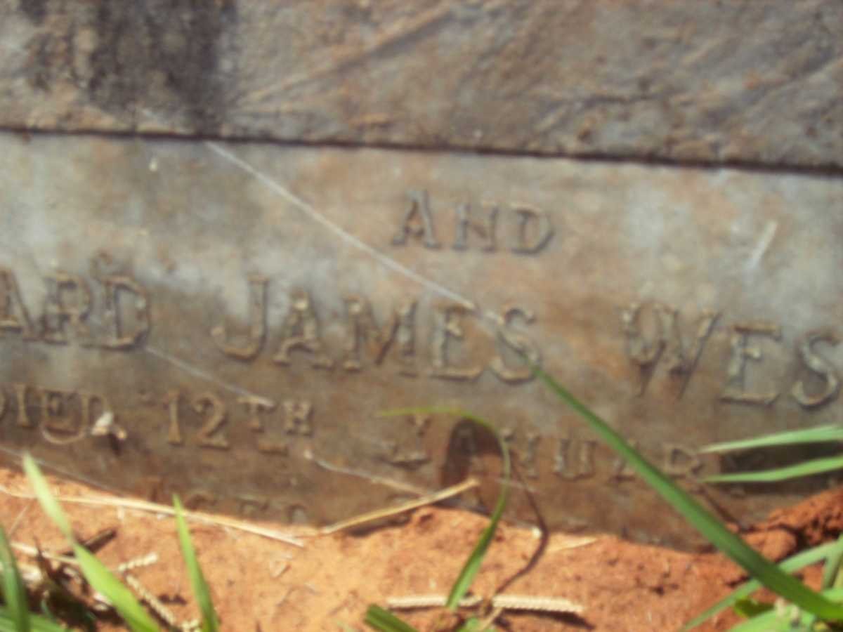 WESTBROOK Florence Elizabeth -1916 :: WESTBROOK William George -1916 :: WESTBROOK Richard James -1956