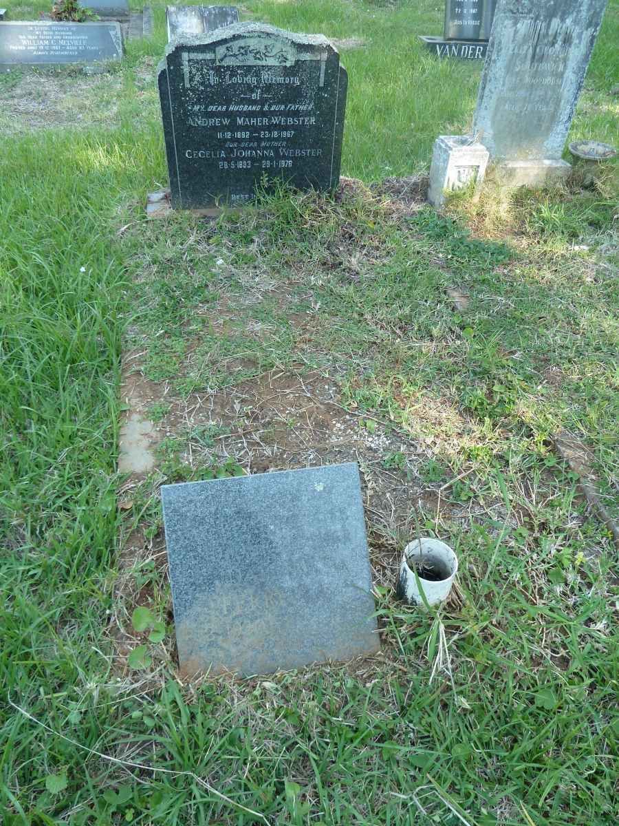 WEBSTER Andrew Maher 1892-1967 &amp; Cecelia Johanna 1893-1976 :: FERREIRA Daphne 1930-1996