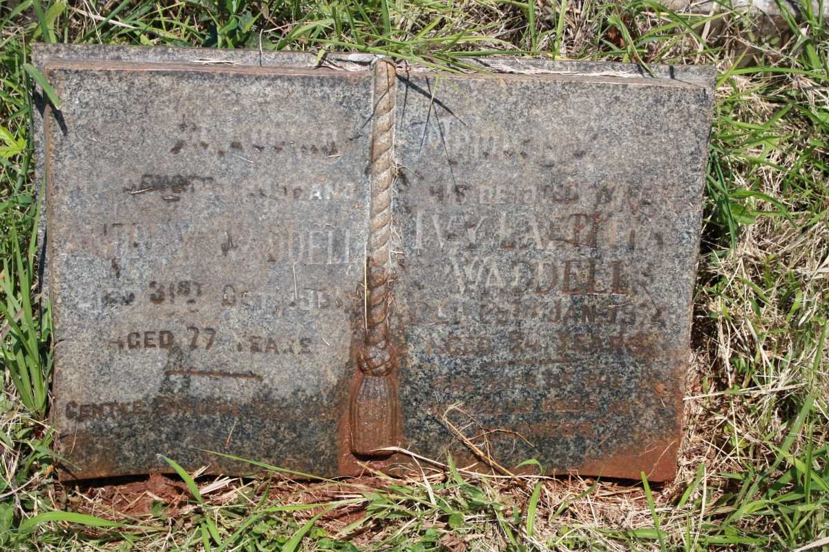 WADDELL Andrew -1961 &amp; Ivy Laetitia -1972