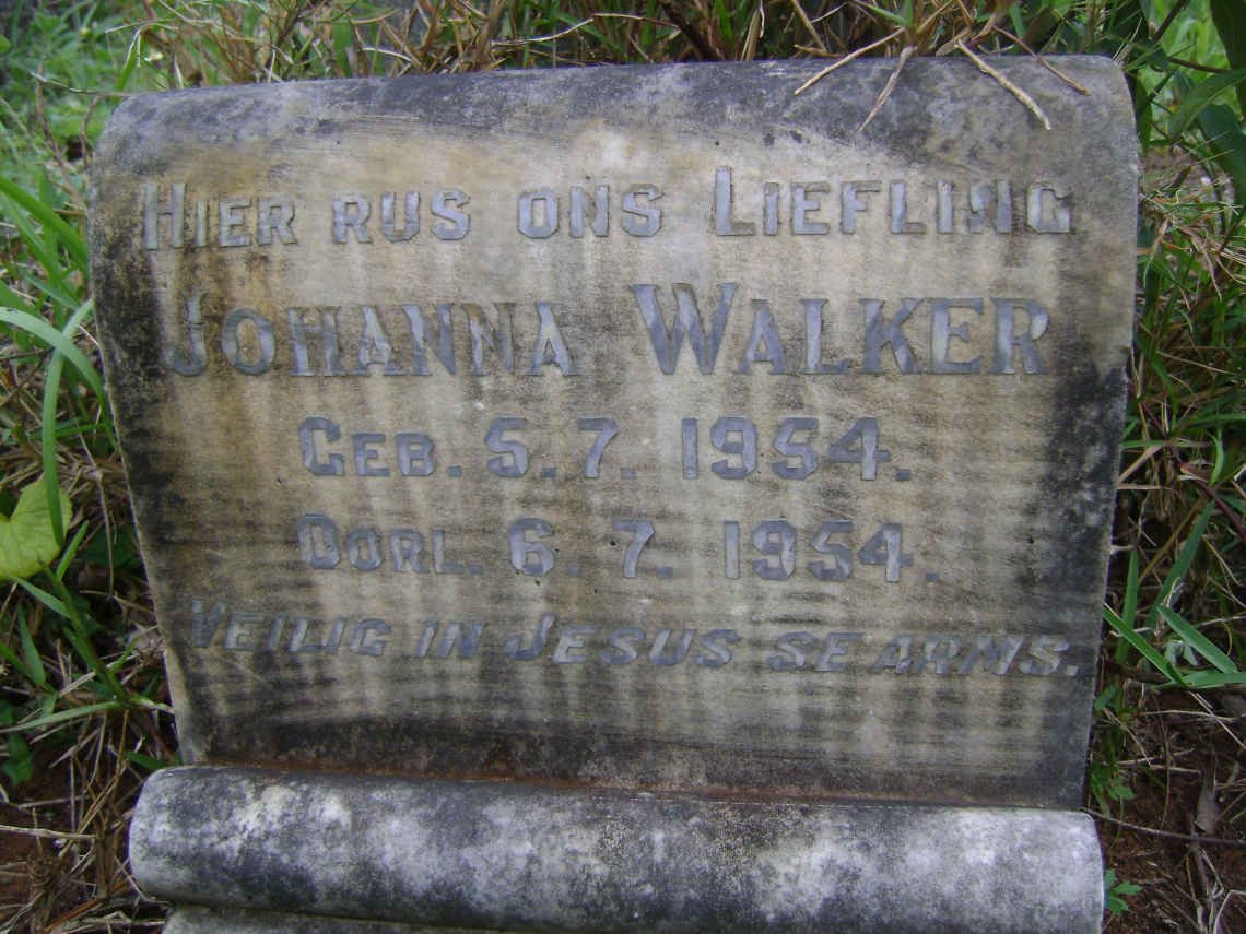 WALKER Johanna 1954-1954