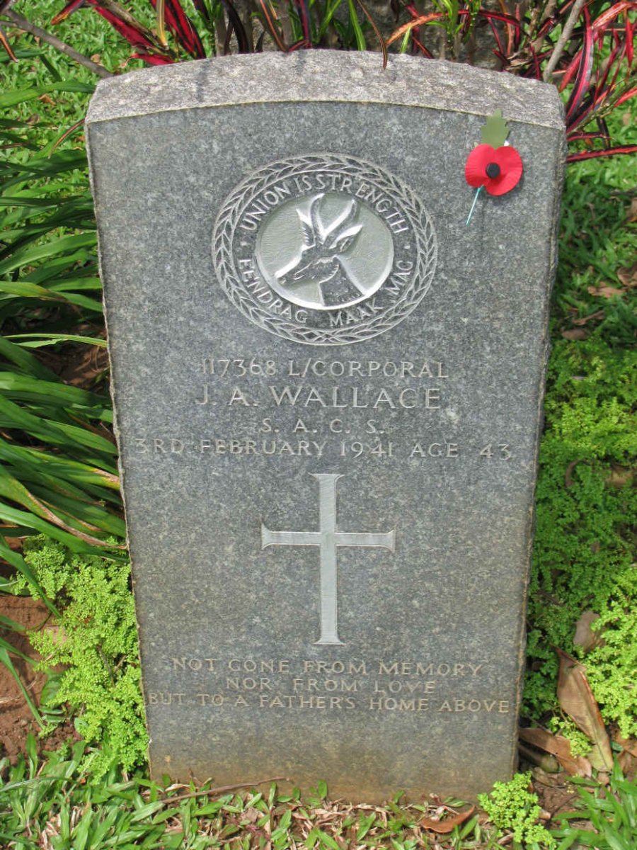 WALLACE J.A. -1941