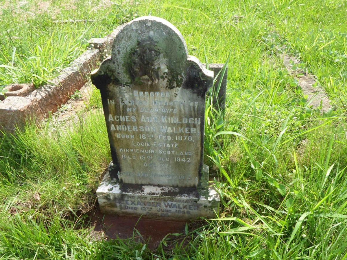 WALKER Alexander -1959 &amp; Agnes Ann Kinloch Anderson 1870-1942