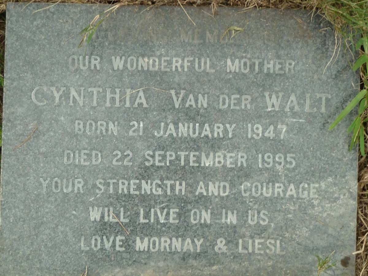 WALT Cynthia, van der 1947-1995