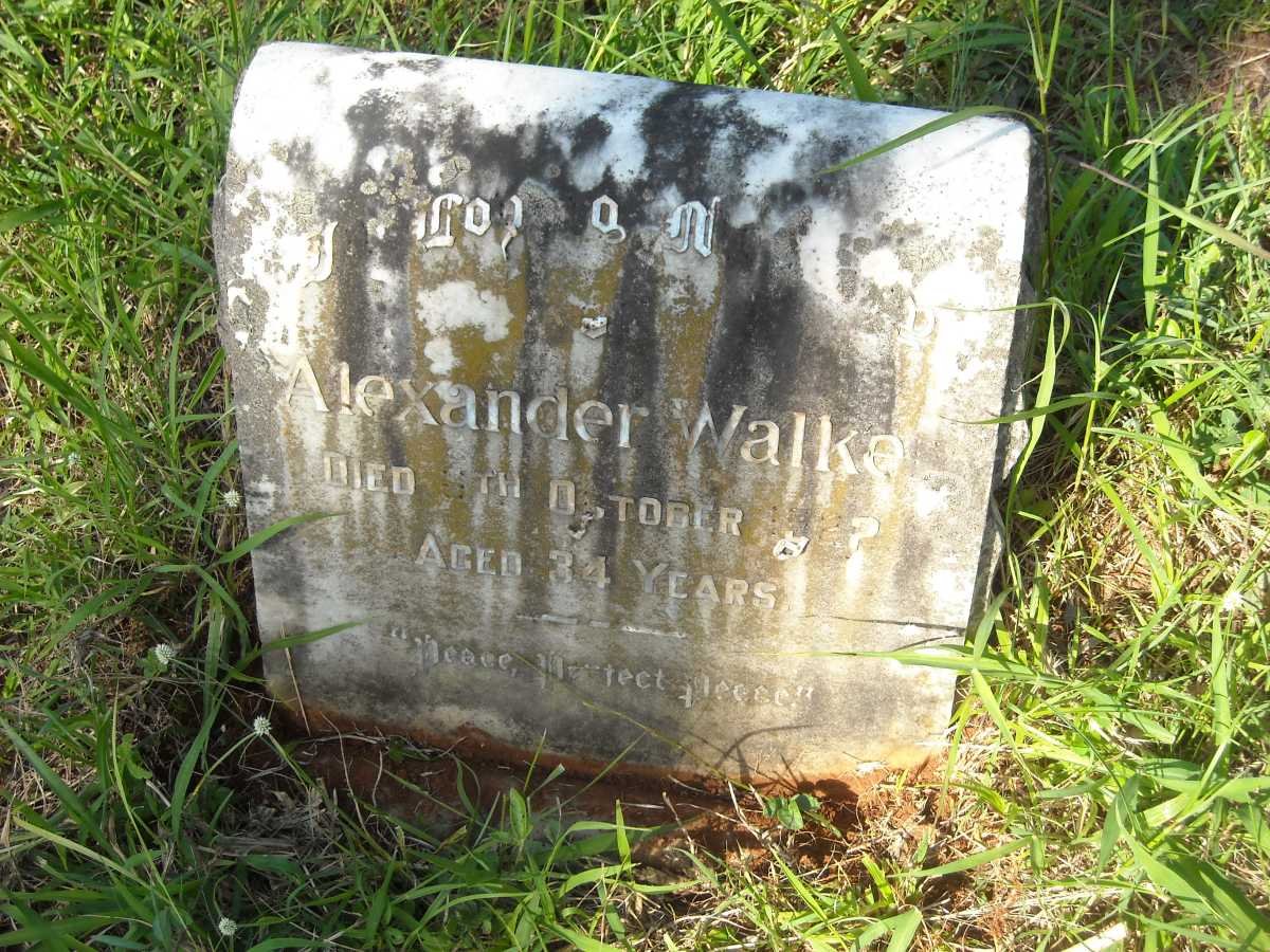 WALKER Alexander -1922