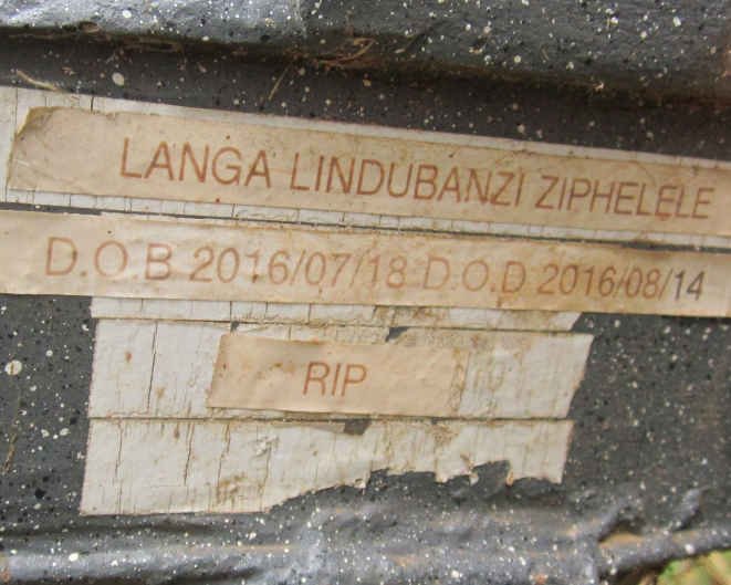 ZIPHELELE Langa Lindubanzi 2016-2016