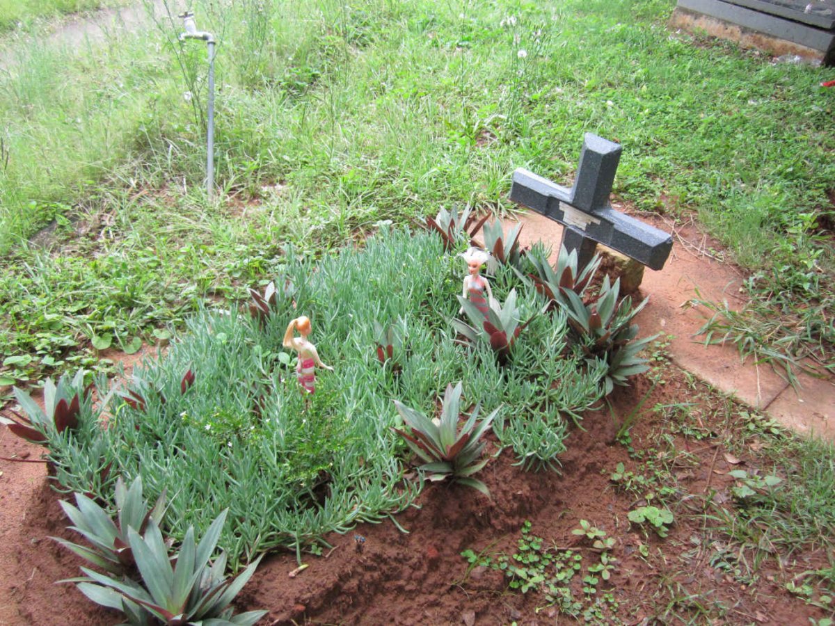 ZIPHELELE Langa Lindubanzi 2016-2016