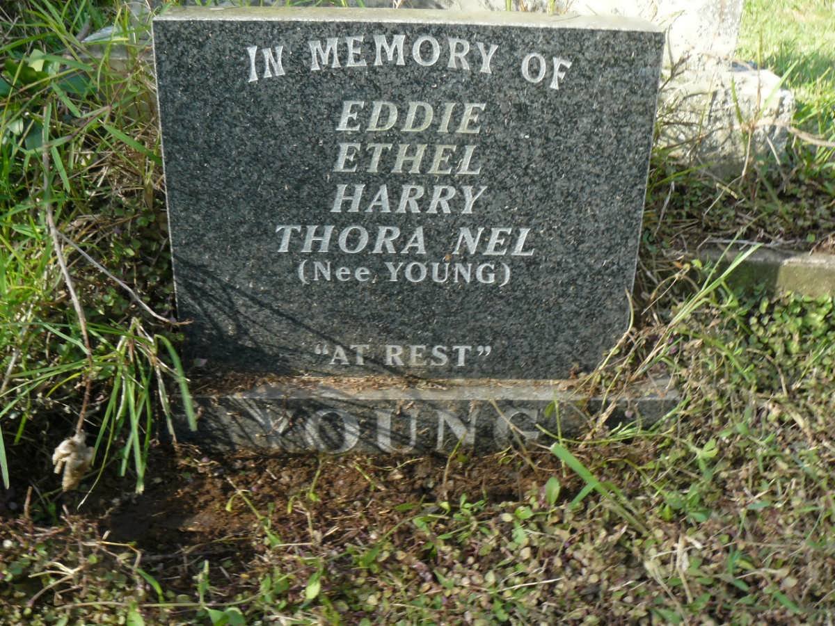 YOUNG Eddie - 1955 :: YOUNG Ethel - 1971 :: YOUNG Harry :: NEL Thora nee YOUNG -1971