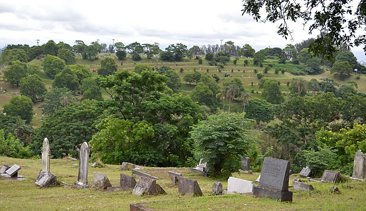 19. Overview