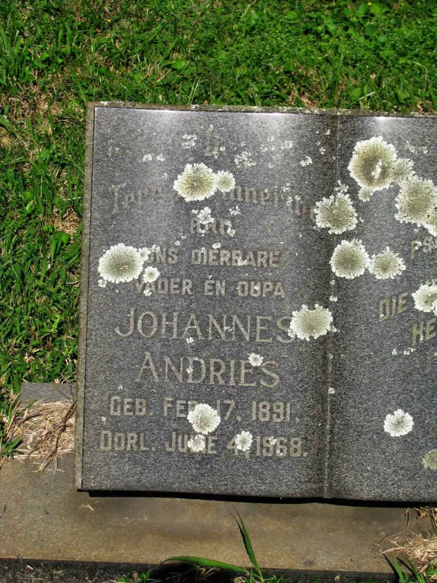 ? Johannes Andries 1891-1968