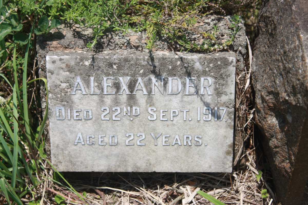 ? Alexander -1917