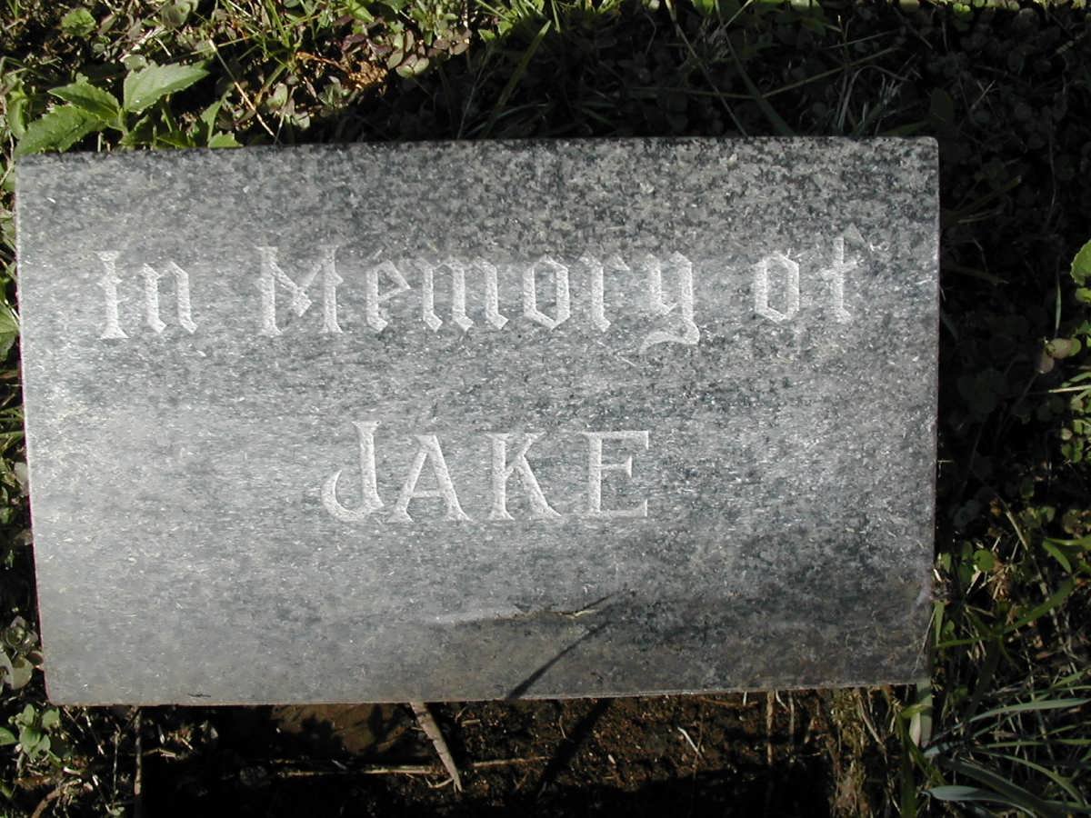 ? Jake
