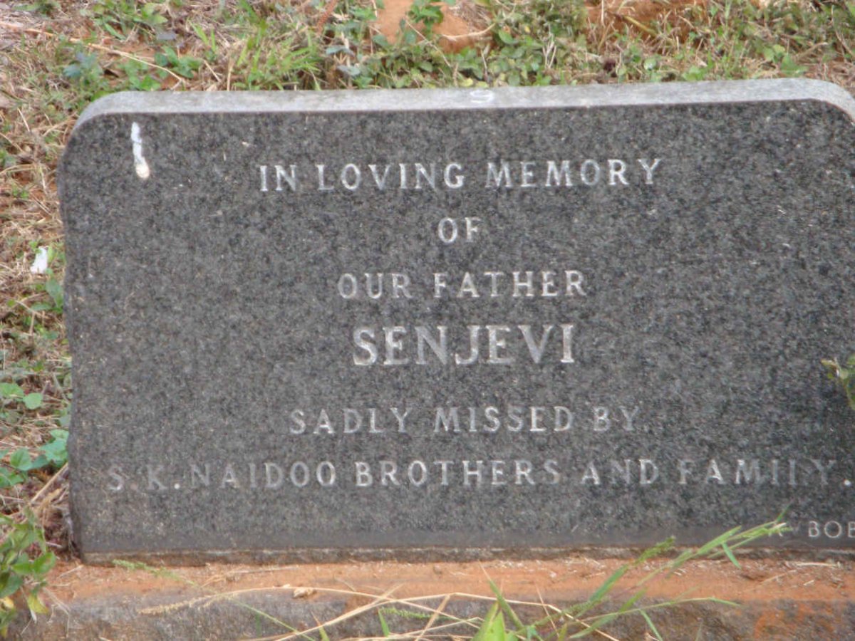 ? Senjevi