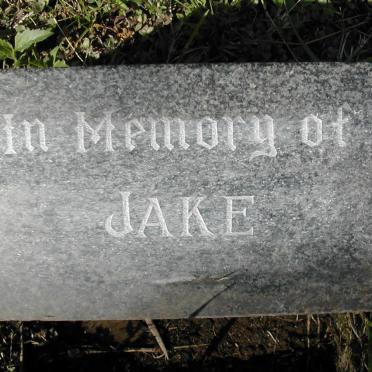? Jake