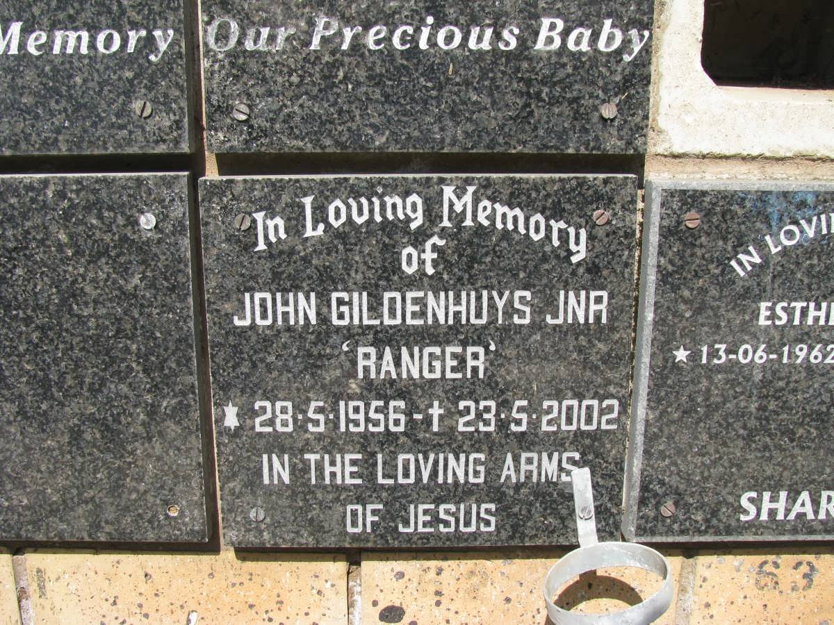 GILDENHUIS John 1956-2002