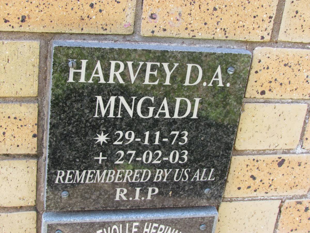 MNGADI Harvey D.A. 1973-2003