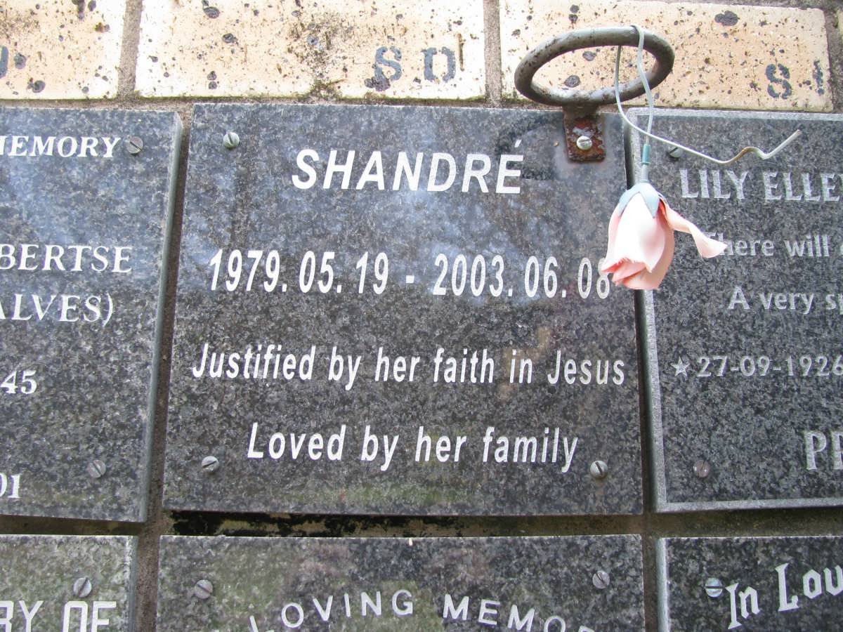 ? Shandre 1979-2003