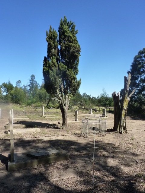 4. Overview