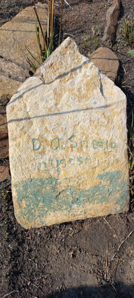 SOBELA D.A.