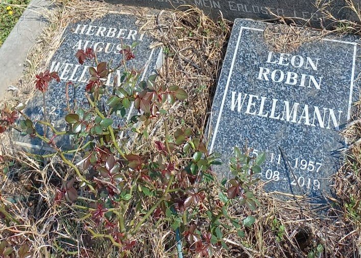 WELLMANN Herbert August -2013 :: WELLMANN Leon Robin 1957-2019