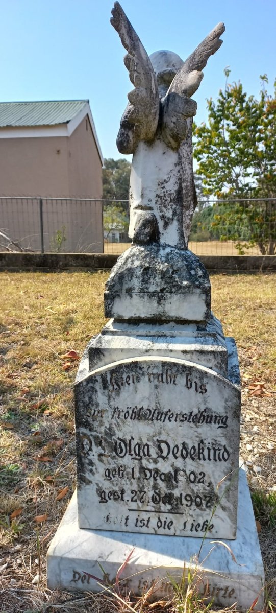 DEDEKIND D.L. Olga 1902-1907