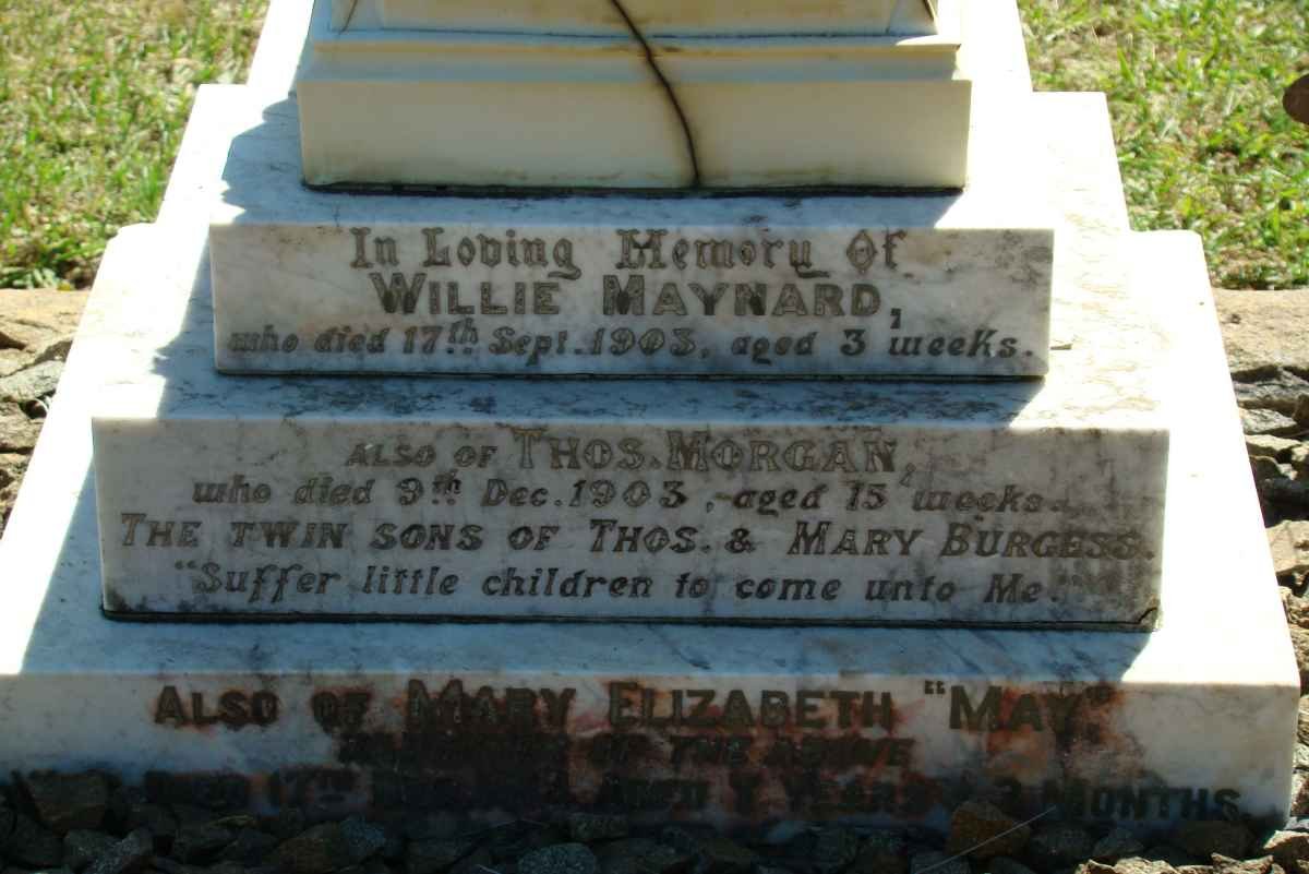 BURGESS Willie Maynard -1903 :: BURGESS Thos. Morgan -1903 :: BURGESS Mary Elizabeth