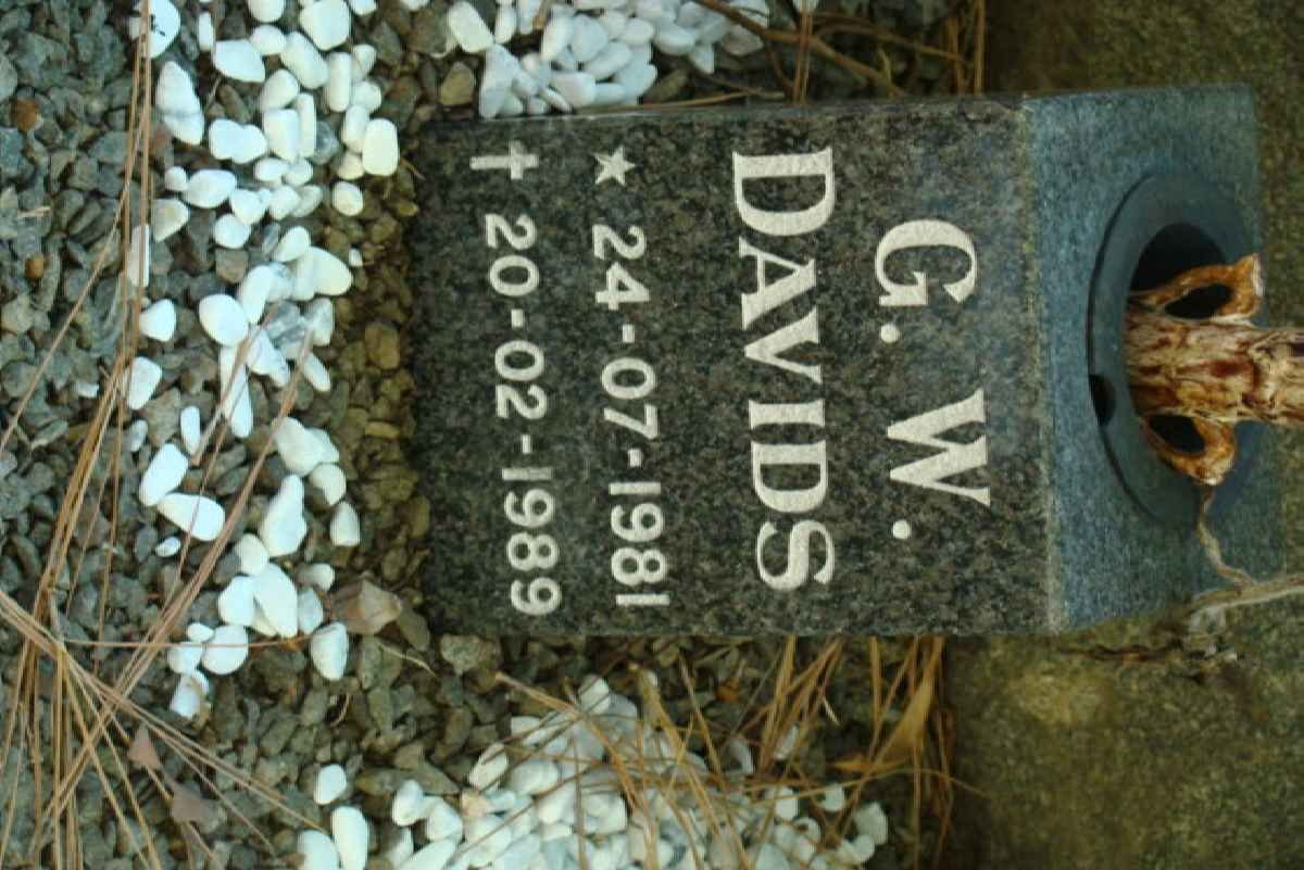 DAVIDS G.W. 1981-1989