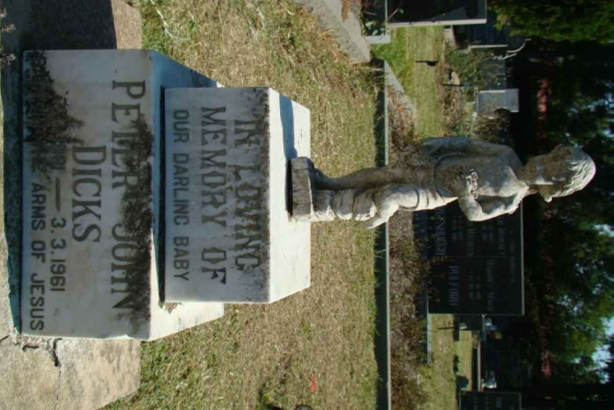 DICKS Peter John 1961-1961