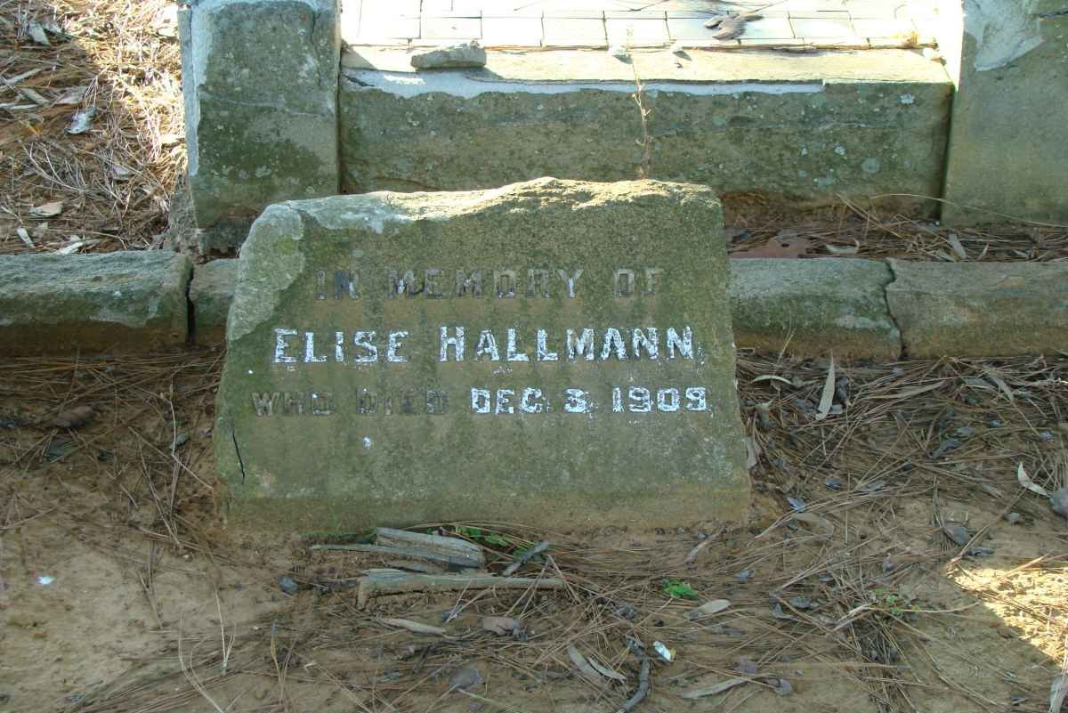 HALLMANN Elise -1909