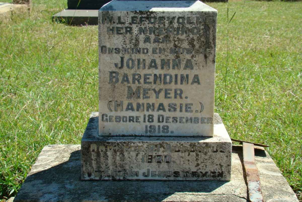 MEYER Johanna Barendina 1918-1930