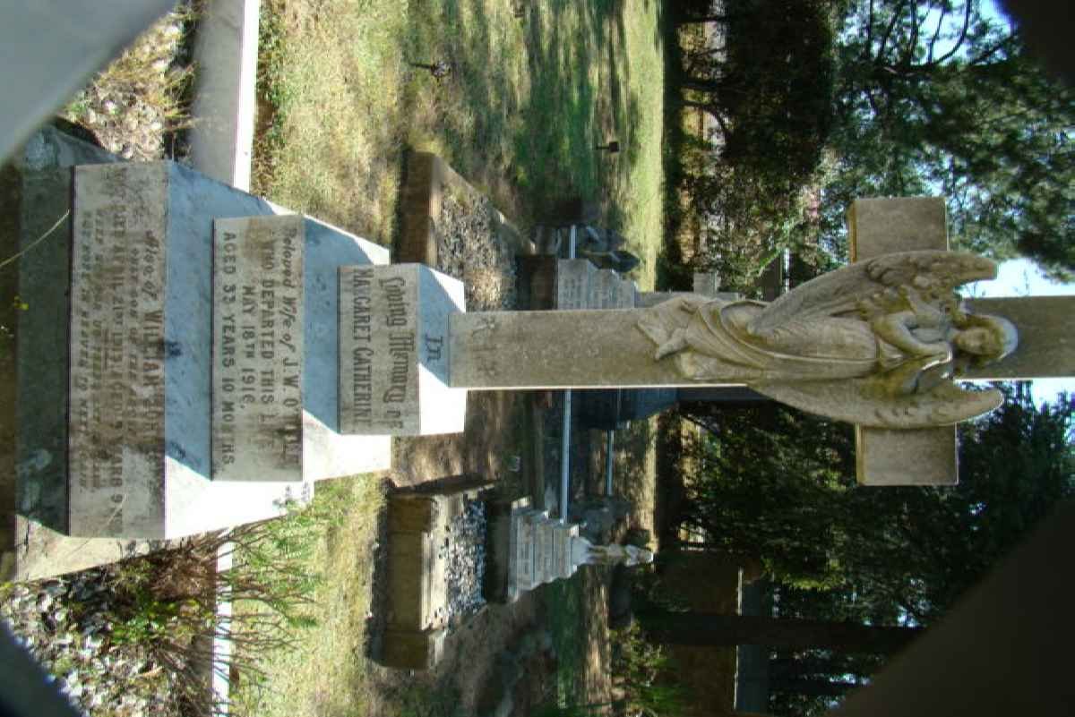 O'TOOLE Margaret Catherine -1916 :: O'TOOLE William John -1919