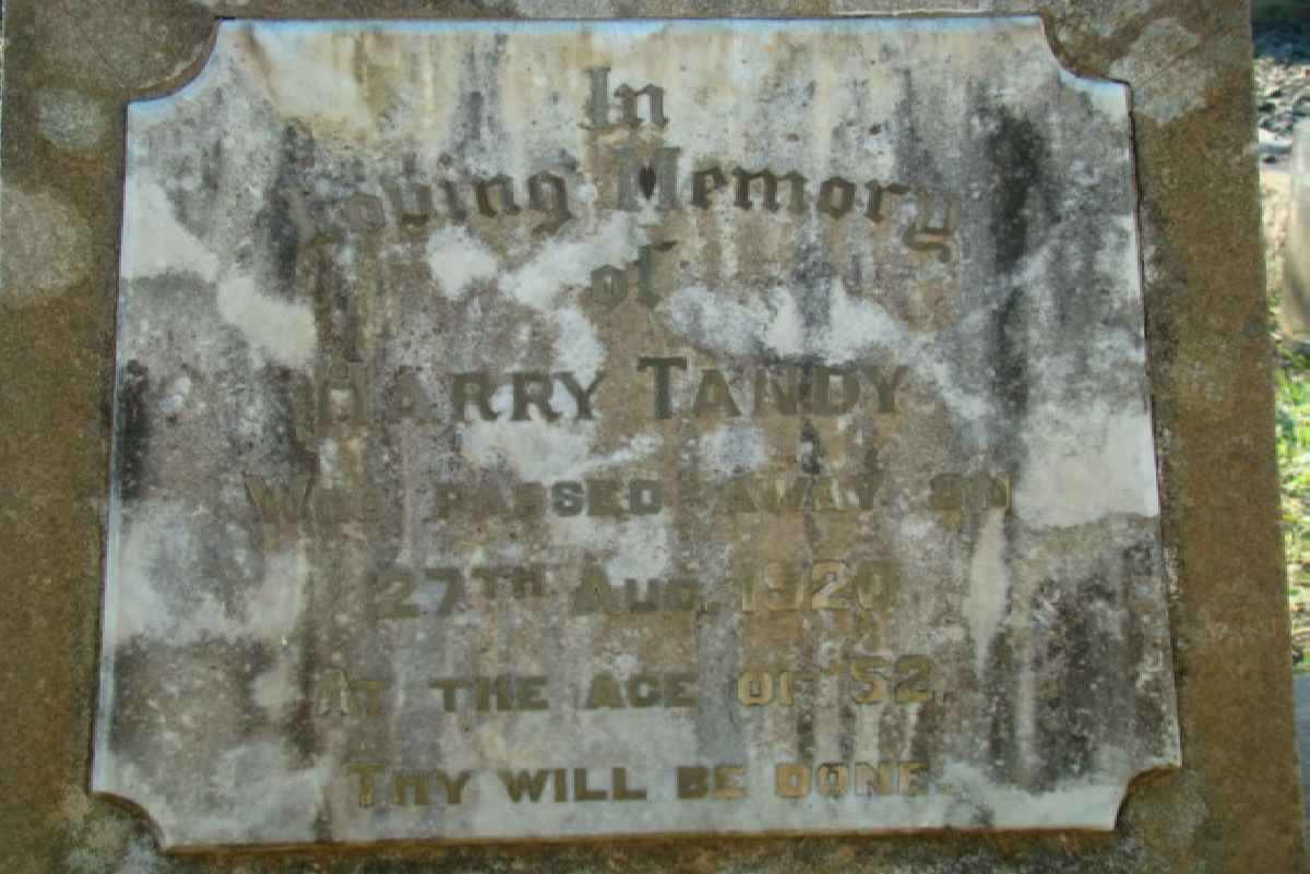 TANDY Harry -1920