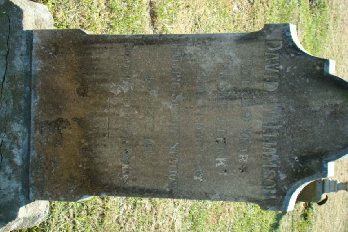 WILLIAMSON David -1911