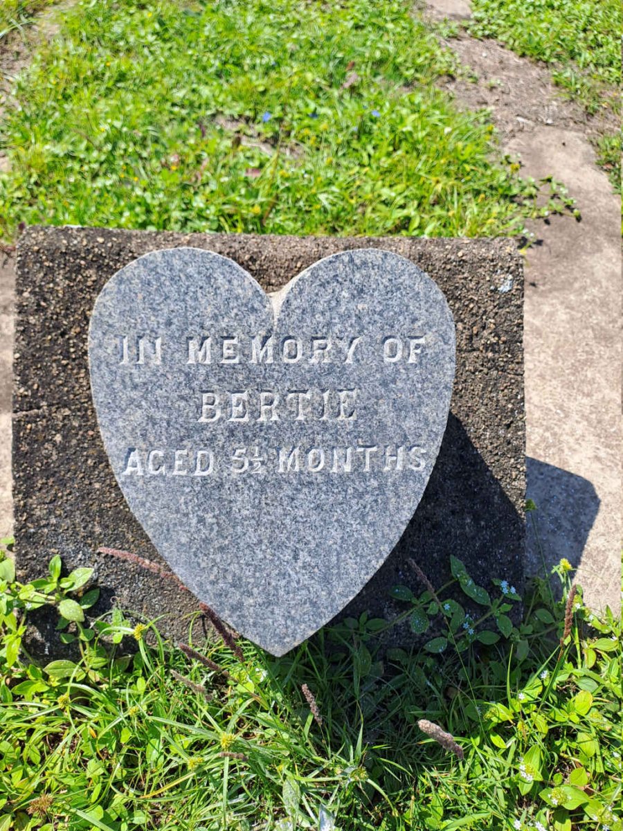 ? Bertie