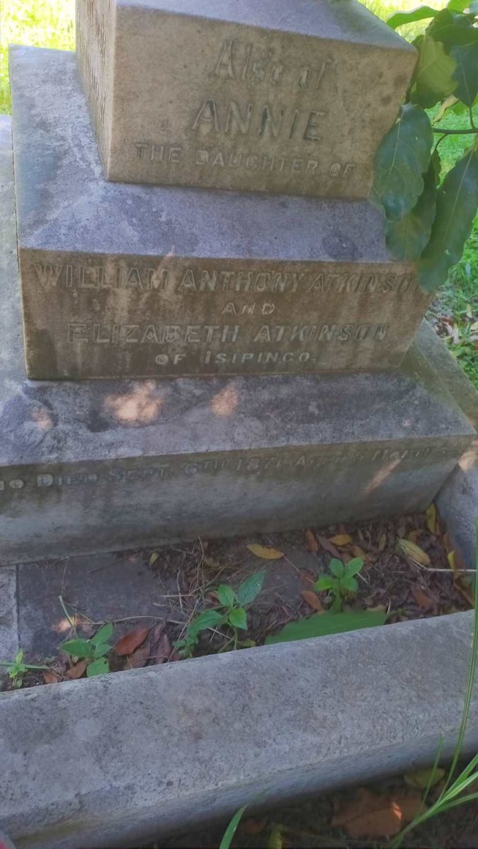 ATKINSON Annie -1871