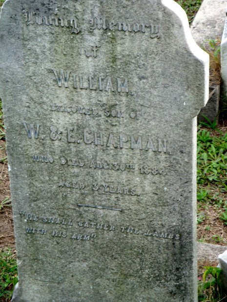 CHAPMAN William -1884