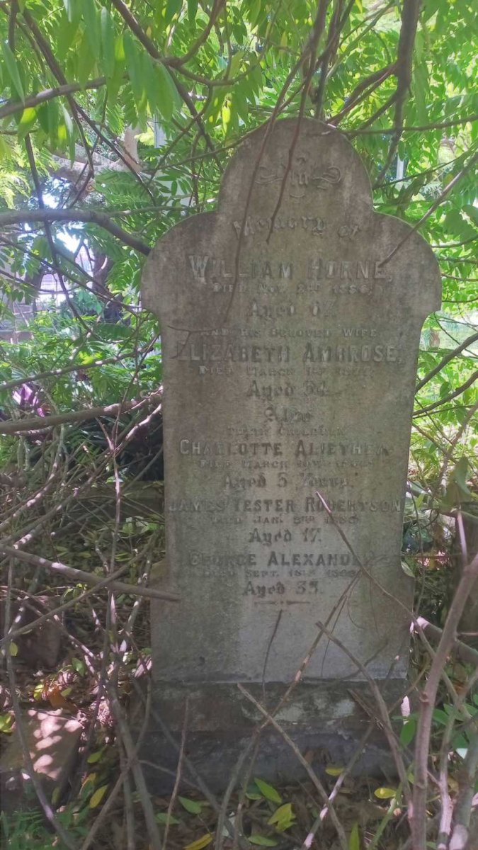 HORNE William -1886 & Elizabeth Ambrose -1877 :: HORNE Charlotte Aliethea -1864 :: HORNE James Tester Robertson -18?? :: HORNE George Alexander -18??
