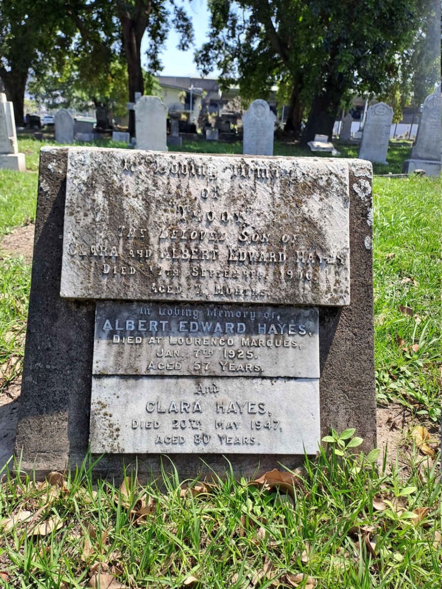 HAYES Albert Edward -1925 & Clara -1947 :: HAYES Tso? -1906