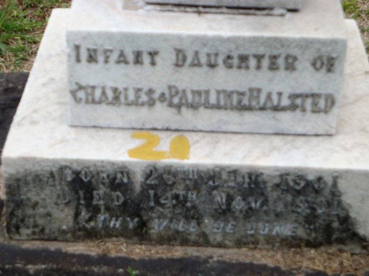 HALSTED Baby 1901-1901