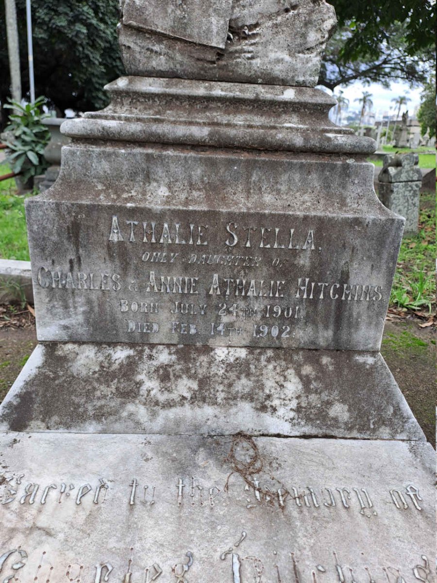 HITCHINS Charles 1846-1914 & Annie Athalie 1857-1939 :: HITCHINS Athalie Stella 1901-1902 _3