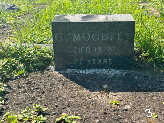 MOODLEY G. -1978