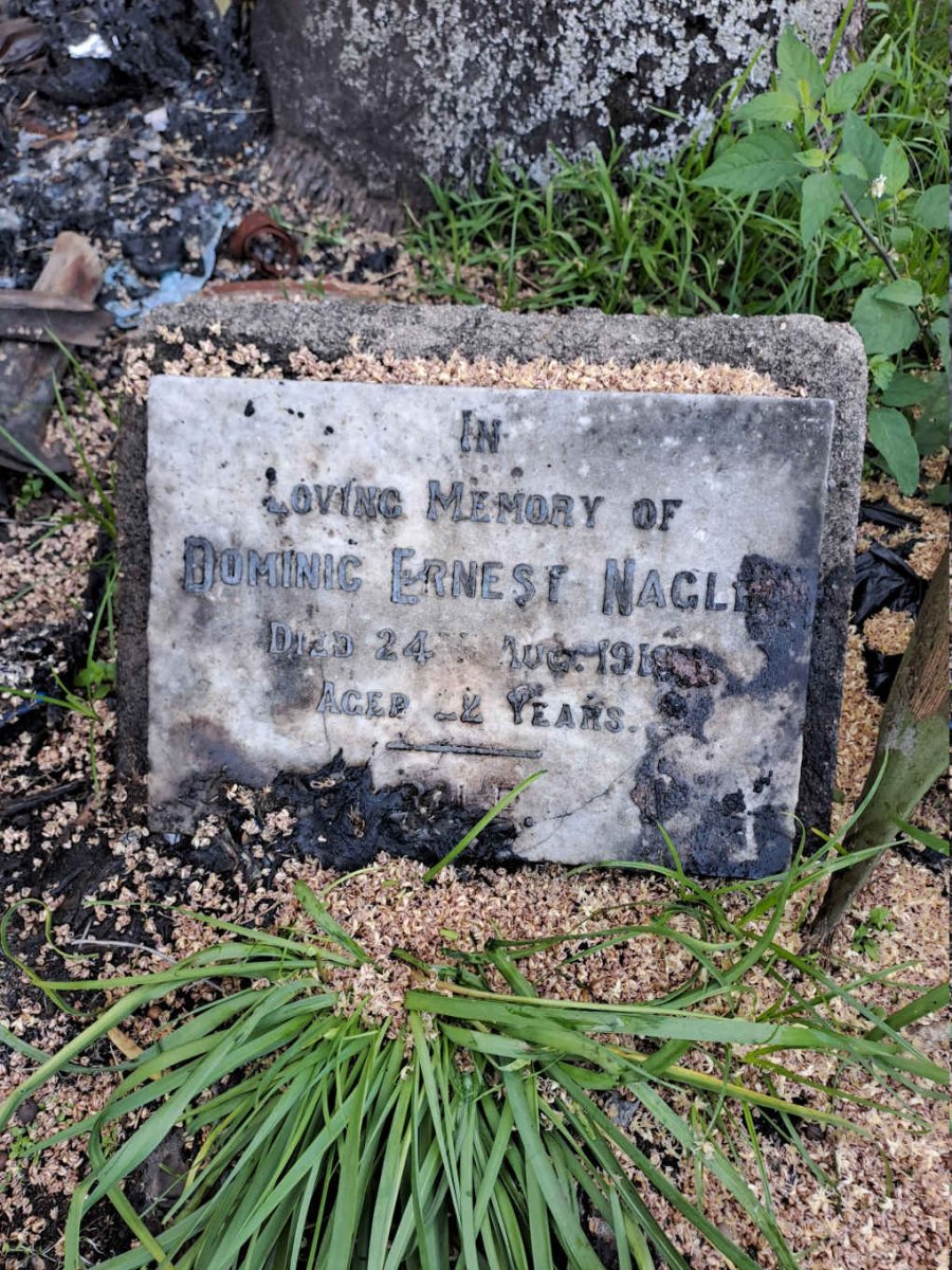 NAGLE Dominic Ernest -1919