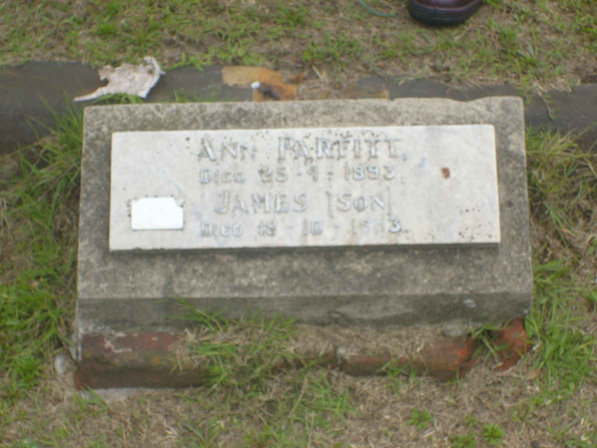 PARFITT Ann -1893 :: PARFITT James -1??3
