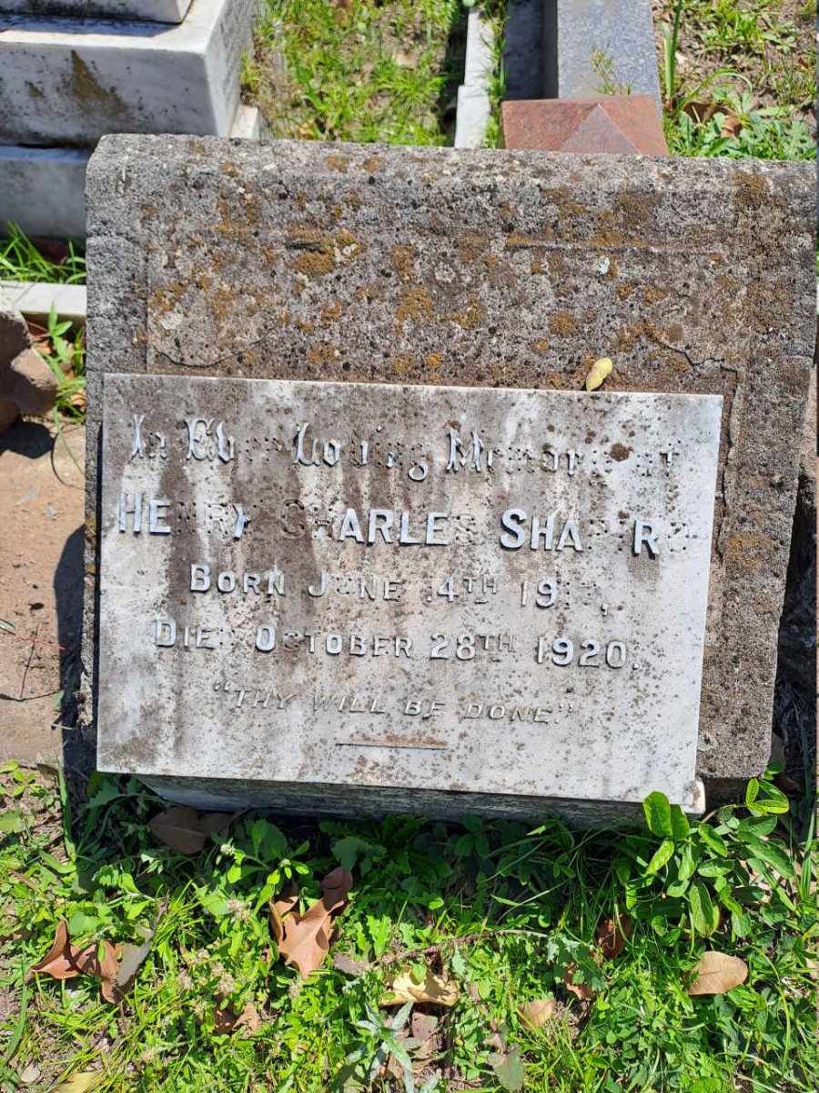 SHAPIRO Henry Charles 1917-1920