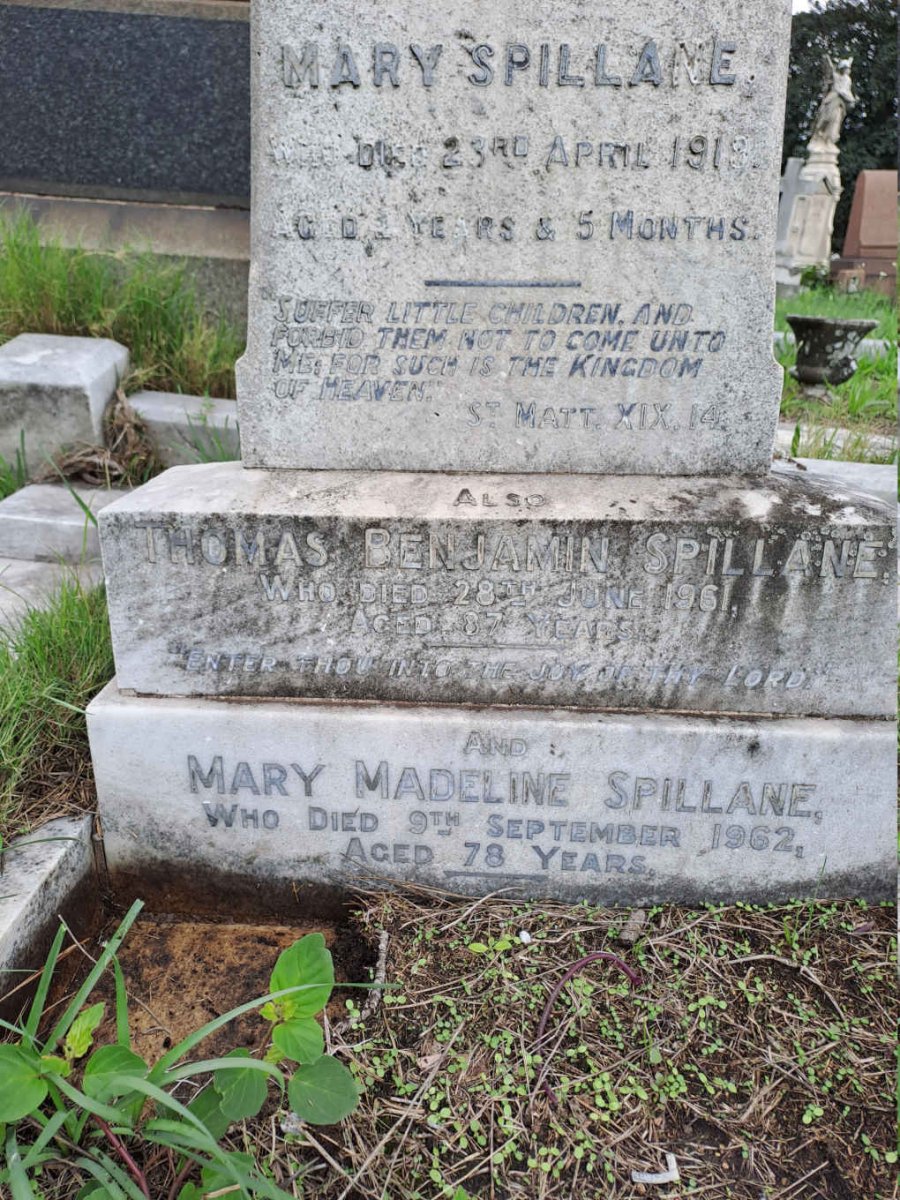 SPILLANE Thomas Benjamin -1961 & Mary Madeline -1962 :: SPILLANE Joan Valerie -1919 _2