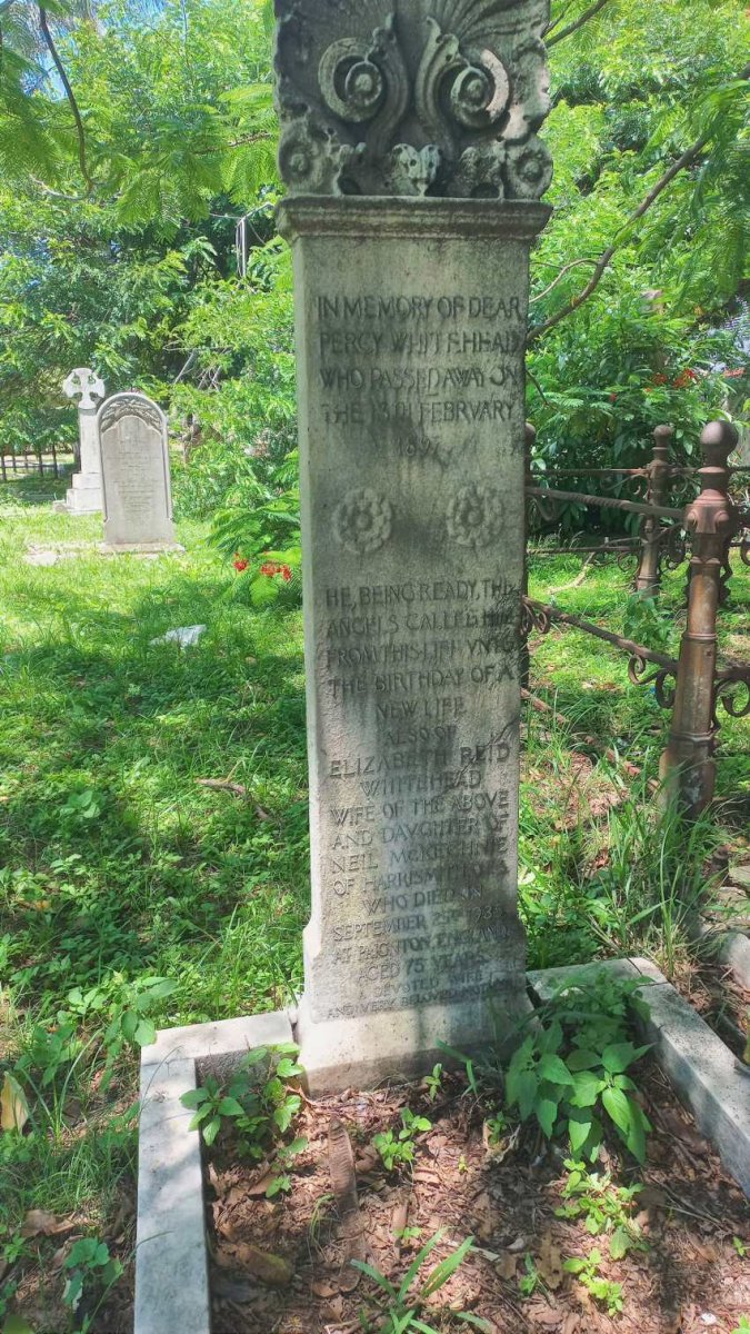 WHITEHEAD Percy -1897 & Elizabeth Reid McKECHNIE -1935