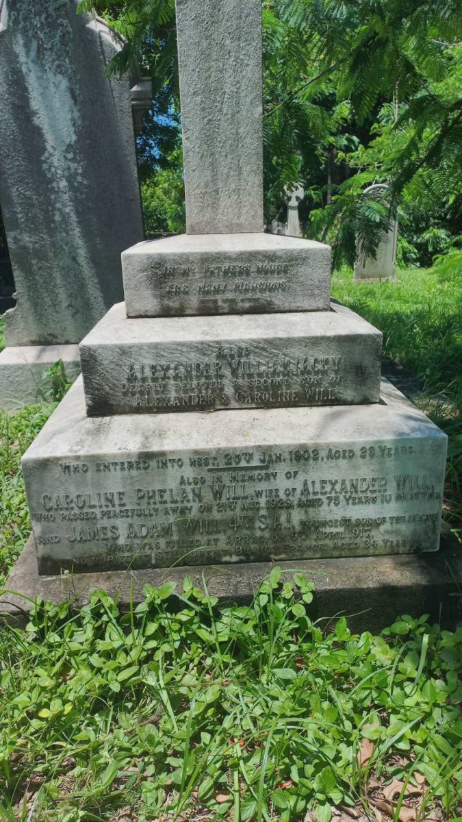 WILL Alexander William -1902 :: WILL Caroline Phelan -1929 :: WILL James Adam -1917