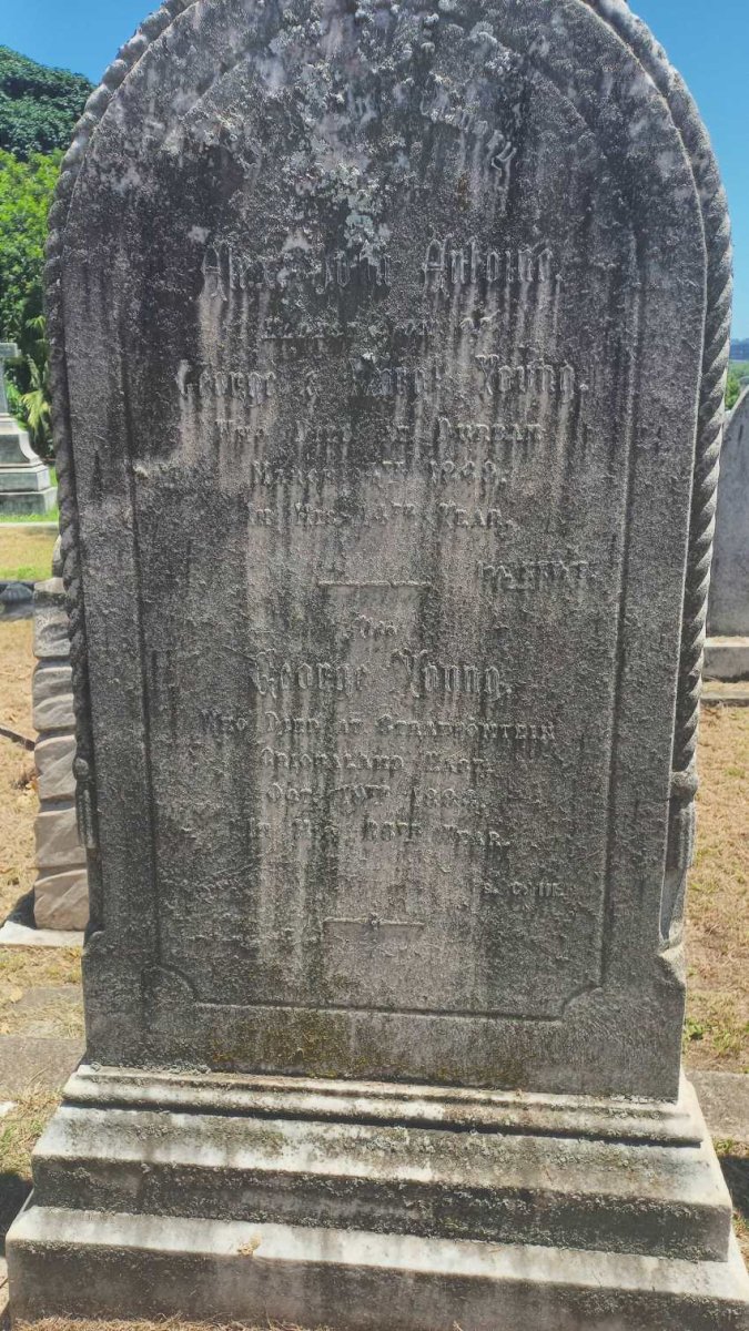 YOUNG George -1884 :: YOUNG Alex John Antoine -18?9
