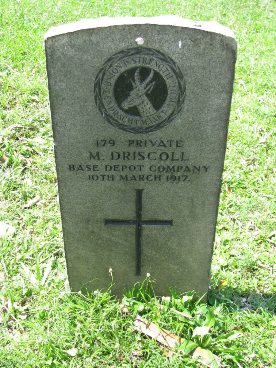 DRISCOLL M. -1917