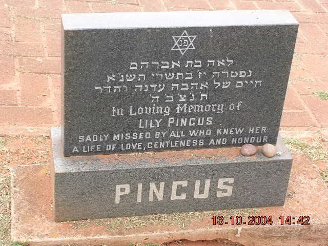 PINCUS Lily